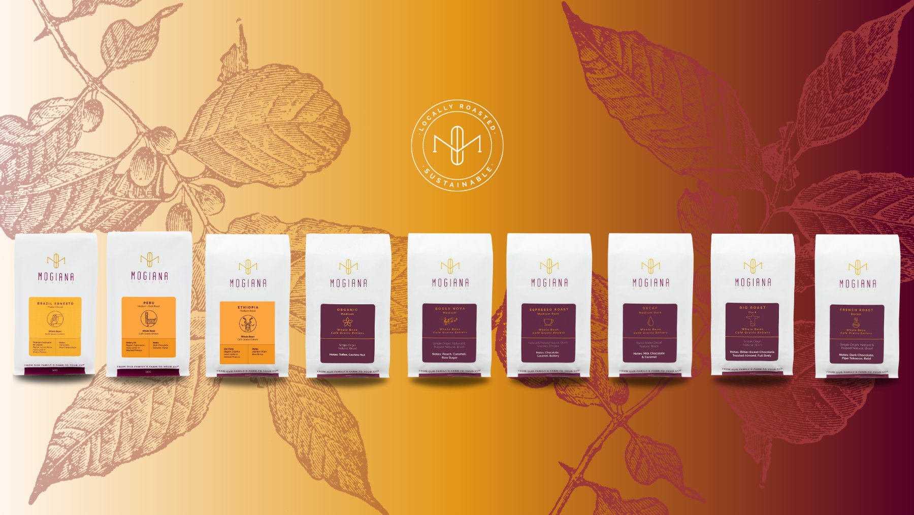 Our Coffees