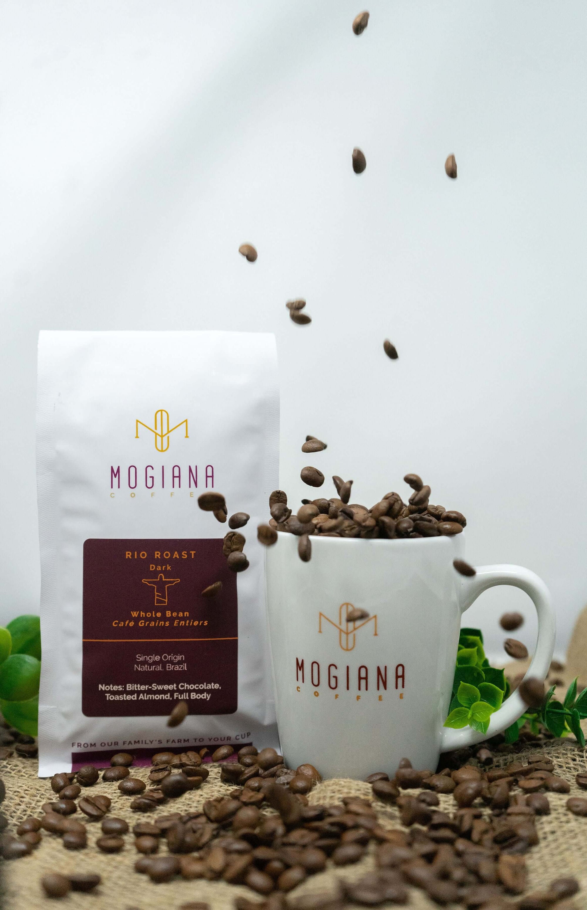 Coffee + Porcelain Mug