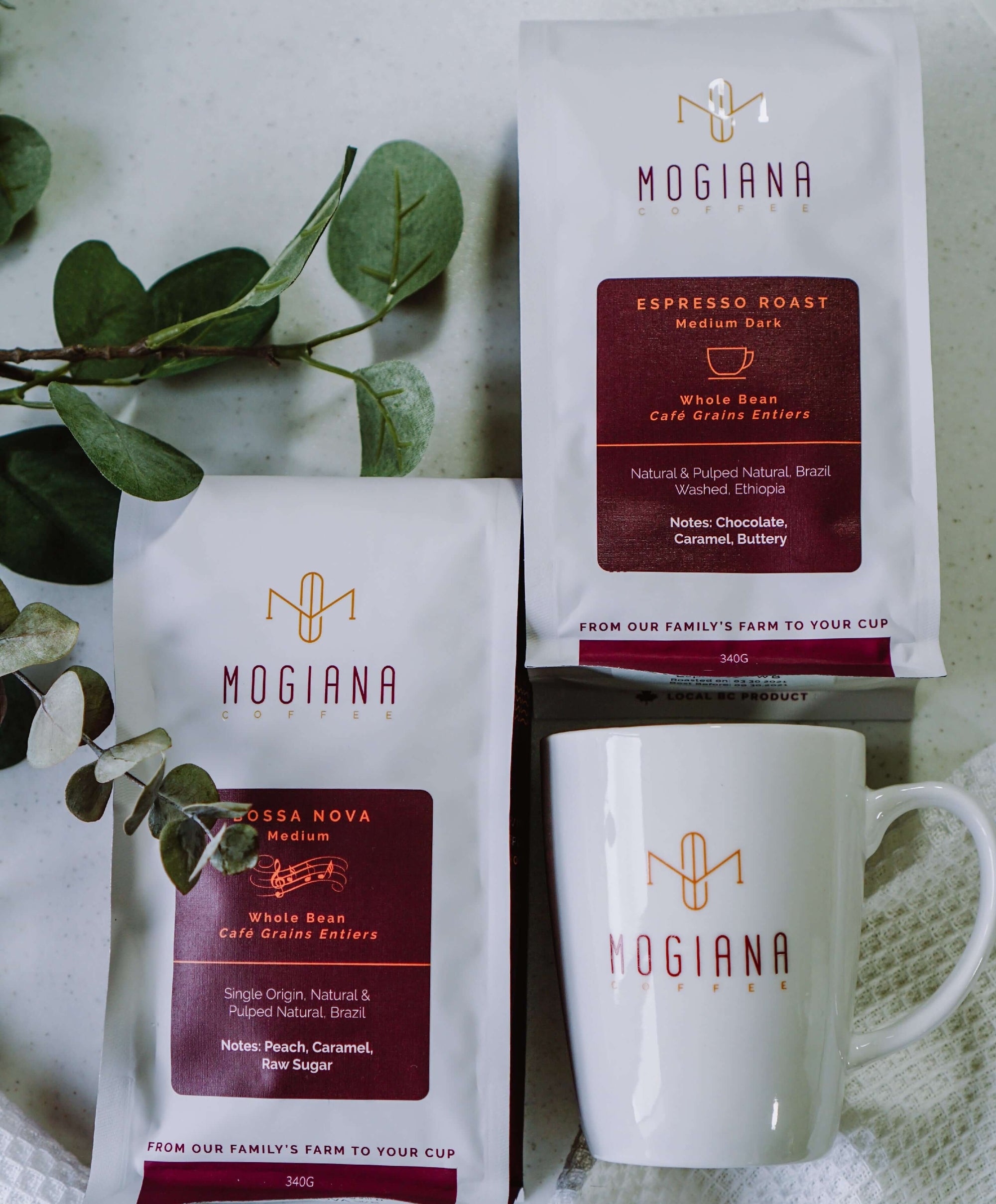 Coffee + Porcelain Mug