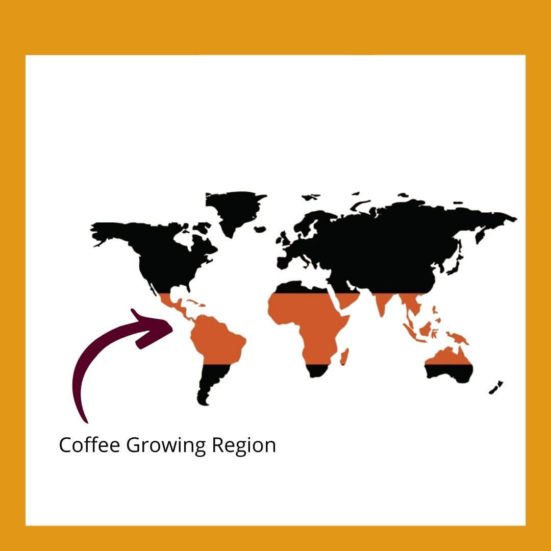 The Coffee Belt