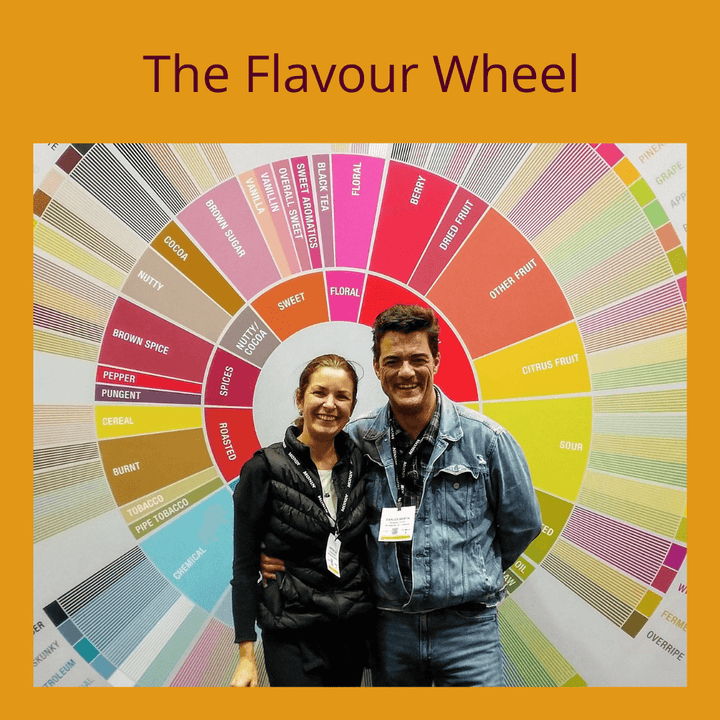 The Coffee Taster's Flavour Wheel