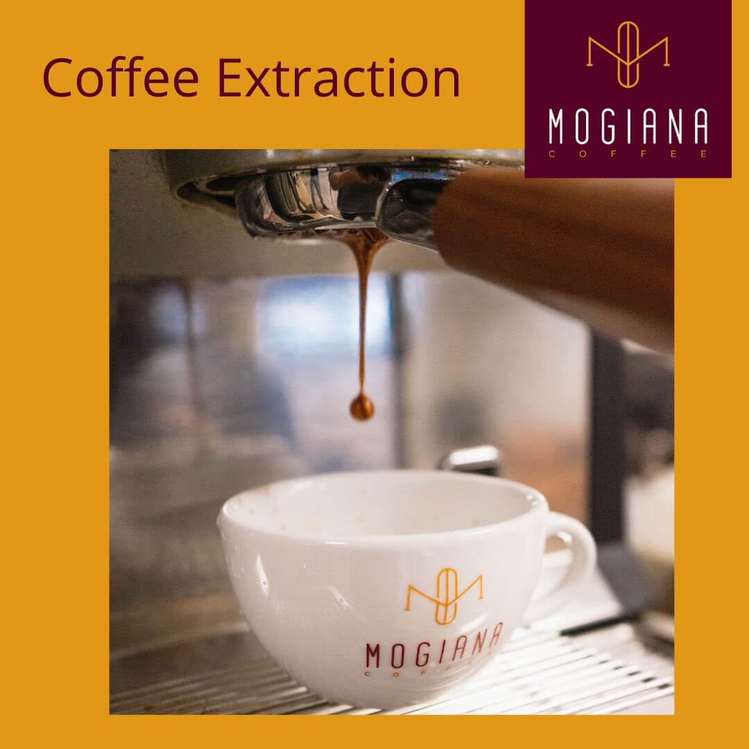 Coffee Extraction I - Grind Size