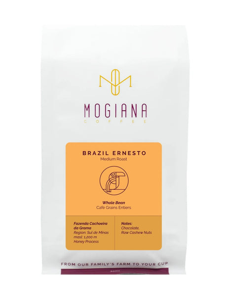 Brazil Ernesto