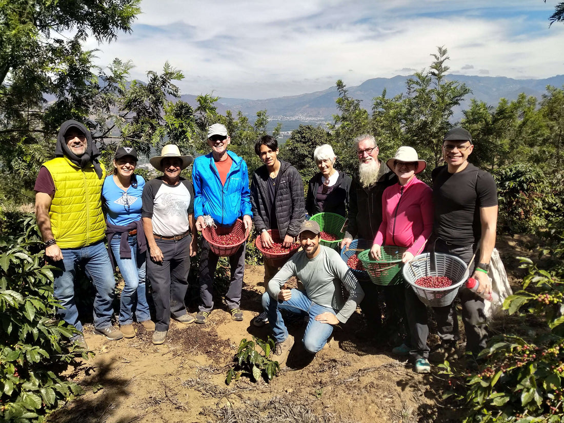 Guatemala – Medium Roast