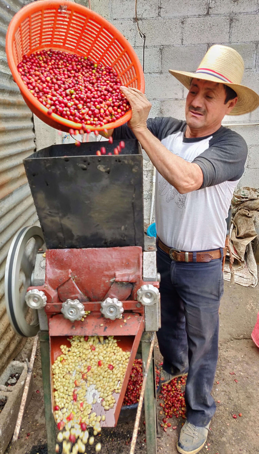 Guatemala – Medium Roast