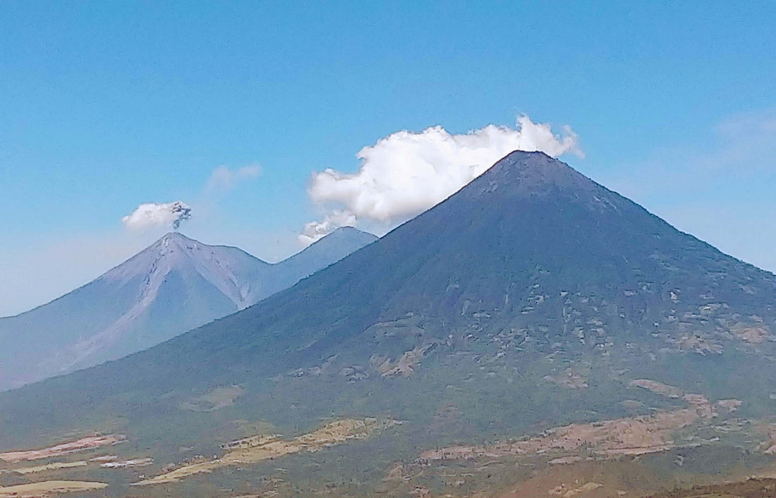 Guatemala – Medium Roast